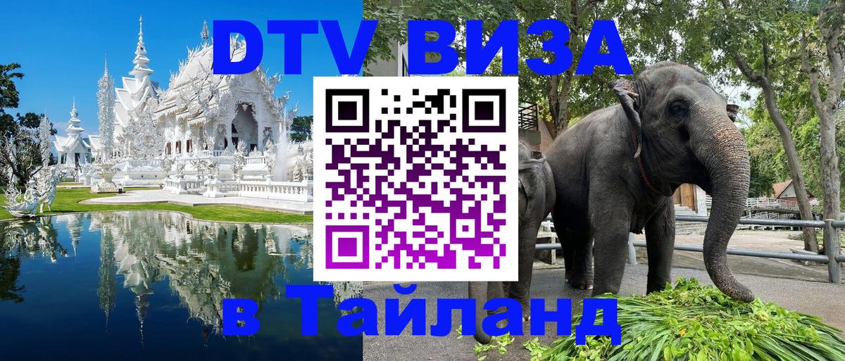 Destination Thailand Visa (DTV виза) Веллингтон 
